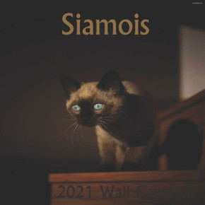 Siamois 2021 wall calendar 8.5X8.5 finish glossy: Siamois wall calendar 2021