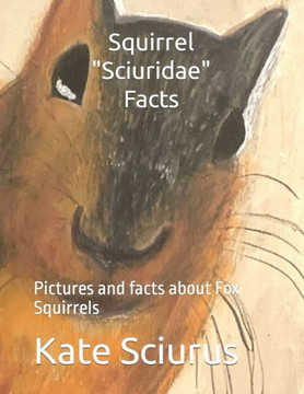 Squirrel Sciuridae Facts: Pictures and facts about Fox Squirrels