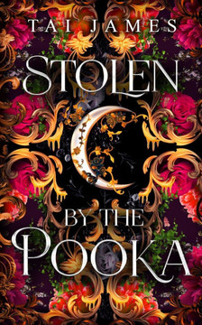 Stolen by the Pooka: An Enemies to Lovers Fae Fantasy Romance