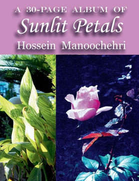 Sunlit Petals: A 30-Page Album of-