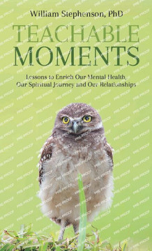 Teachable Moments: Lessons to Enrich Our Mental Health, Our Spiritual Journey and Our Relationships
