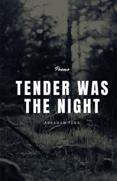Tender was the night