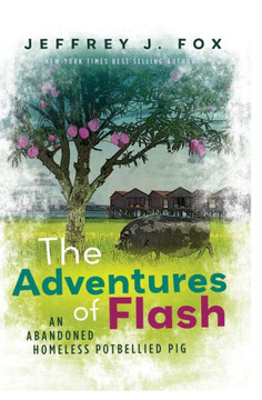 The Adventures of FLASH: An Abandoned Homeless Potbellied Pig (Inspired By a True Story)