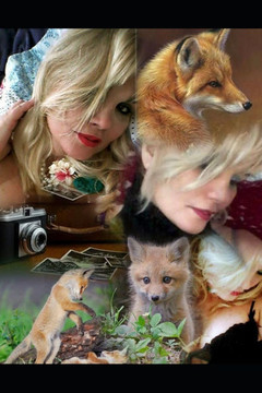 The Fox And The Wolves