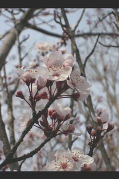 The Time of the LORD's Favor Has Come