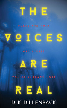 The Voices are Real: Pulse the Void, Get a Grip, You're Already Lost