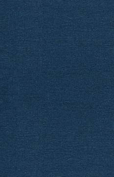 The Wealthy Mindset: Transforming Your Relationship with Money