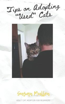 Tips on Adopting ""Used"" Cats: Adult Cat Adoption for Beginners Tips on Adopting ""Used"" Cats: Adult Cat Adoption for Beginners