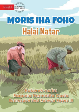 Living In The Village - Rice Cultivation - Moris iha Foho - Halai Natar