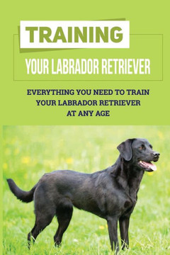 Training Your Labrador Retriever: Everything You Need To Train Your Labrador Retriever At Any Age: How Much Is Enough Exercise For Labrador Retriever