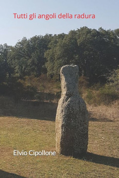 Tutti gli angoli della radura: Racconti e altre scritture