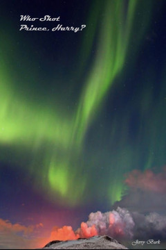 Who Shot Prince, Harry