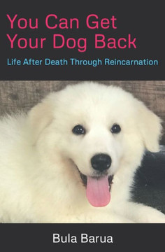 You Can Get Your Dog Back: Life After Death Through Reincarnation