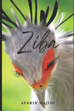 Ziba: A Novel Set During the Islamic Revolution in Iran
