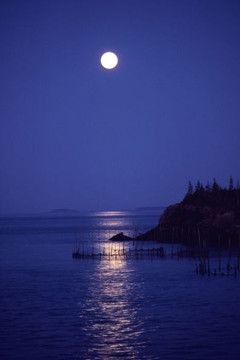 Poetry of Life and Love: reflections of a southern man