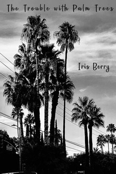 The Trouble With Palm Trees