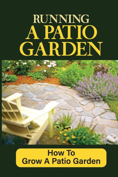 Running A Patio Garden: How To Grow A Patio Garden: Patio Gardening For Beginners