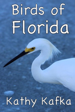 Birds of Florida
