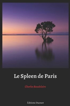 Le Spleen de Paris