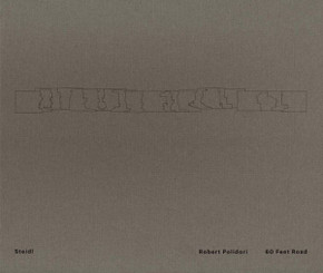 Robert Polidori: 60 Feet Road: Bhatiya Nagar Facades