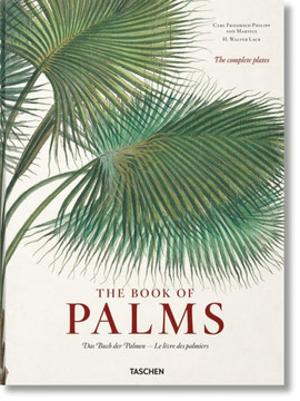 Martius. the Book of Palms
