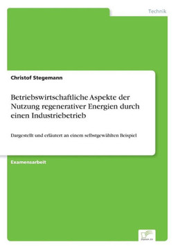 Betriebswirtschaftliche Aspekte der Nutzung regenerativer Energien durch einen Industriebetrieb: Dargestellt und erläutert an einem selbstgewählten Be
