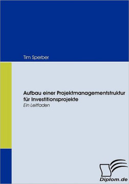 Aufbau einer Projektmanagementstruktur für Investitionsprojekte: Ein Leitfaden