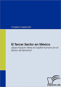 El Tercer Sector en México: ¿Qué impacto tiene el Capital Humano en el Sector de Servicios?