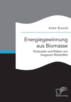 Energiegewinnung aus Biomasse. Potenziale und Risiken von biogenen Rohstoffen