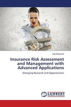 Insurance Risk Assessment and Management with Advanced Applications