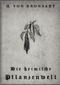 Die heimische Pflanzenwelt Die heimische Pflanzenwelt