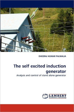 The self excited induction generator