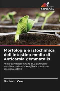 Morfologia e istochimica dell'intestino medio di Anticarsia gemmatalis