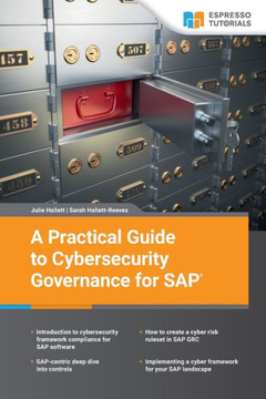 A Practical Guide to Cybersecurity Governance for SAP
