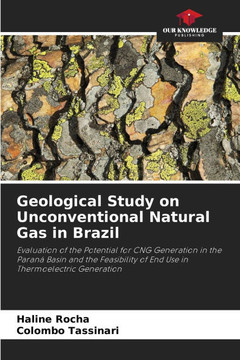 Geological Study on Unconventional Natural Gas in Brazil