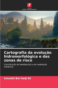 Cartografia da evolução hidromorfológica e das zonas de risco