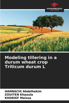 Modeling tillering in a durum wheat crop Triticum durum L