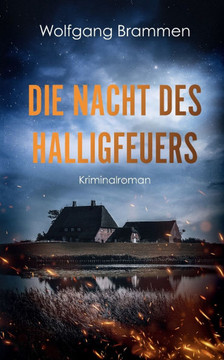 Die Nacht des Halligfeuers: Kriminalroman