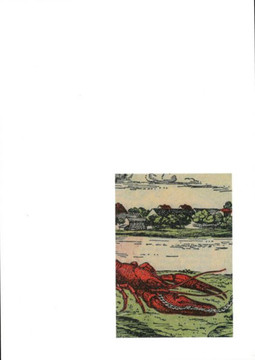 Julian Irlinger: Fragments of a Crisis