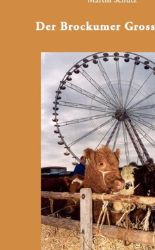 Insel der Visionen: Privatdetektivin Sabrina Wilkens