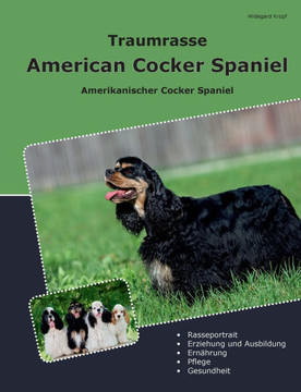 Traumrasse American Cocker Spaniel: Amerikanischer Cocker Spaniel
