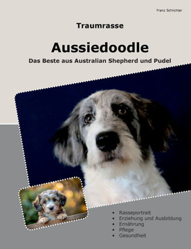 Traumrasse Aussiedoodle: Das Beste aus Australian Shepherd und Pudel
