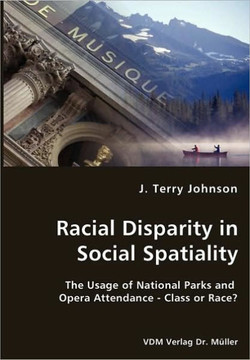 Racial Disparity in Social Spatiality