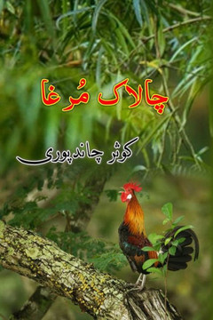 Chalaak Murgha: (Kids Novel)