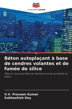 B?on autopla?nt ?base de cendres volantes et de fum? de silice