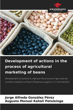 Development of actions in the process of agricultural marketing of beans