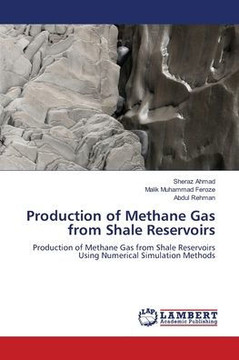 Production of Methane Gas from Shale Reservoirs