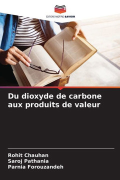 Du dioxyde de carbone aux produits de valeur Du dioxyde de carbone aux produits de valeur