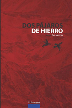 Dos pájaros de hierro
