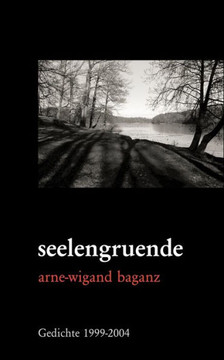 seelengruende: Gedichte (1999-2004)